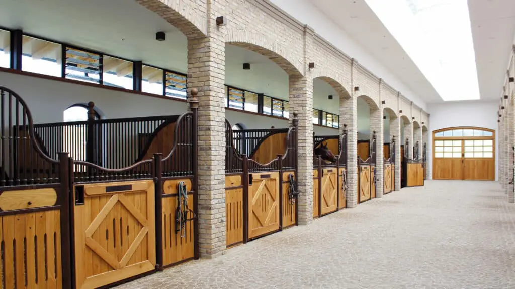 Pferdestallung-mit-Stallgasse