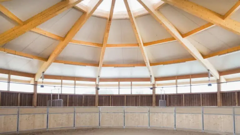 Longierzirkel und Führanlage in einem von innen mit Dachdämmpaneel und Lichtfirst