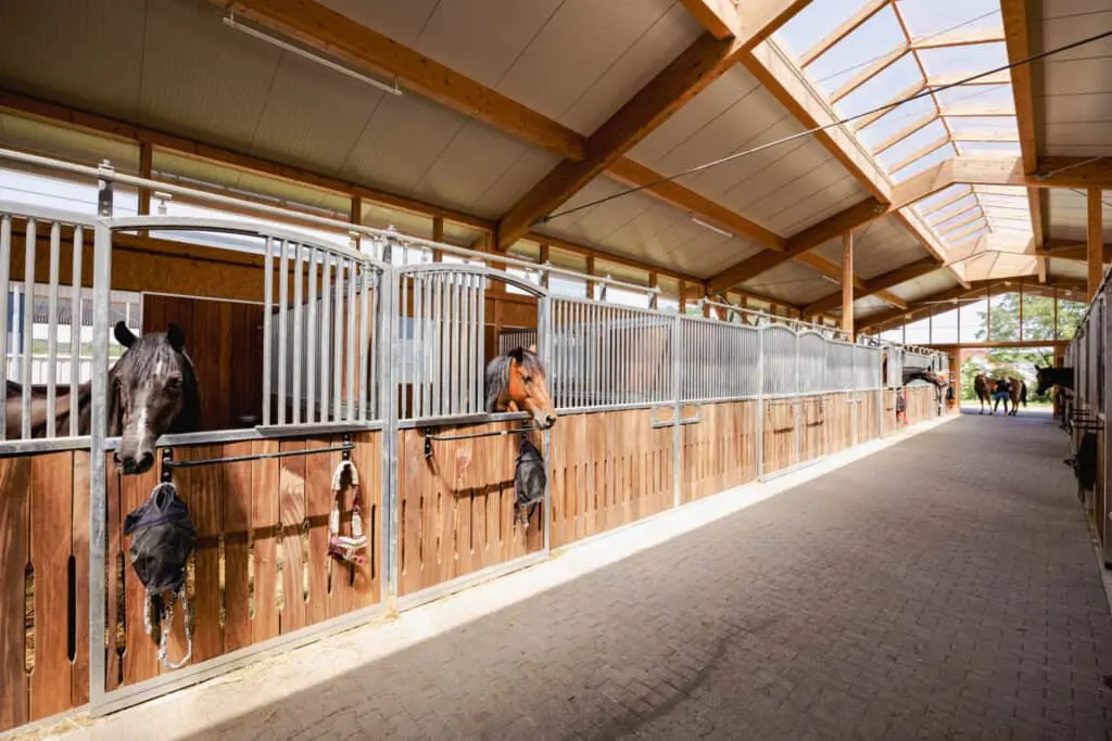 Stallgasse mit Pferdeboxen innen mit Pferden