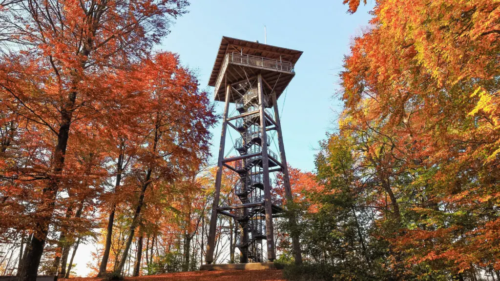 Aalbaeumle-Herbst-Querformat-c-miAA