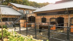 Pferd im Paddock eines Pferdestalls in Holzbauweise