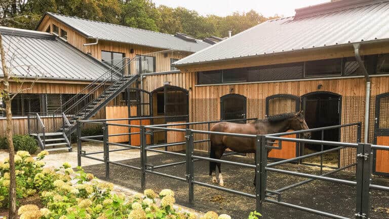 Pferd im Paddock eines Pferdestalls in Holzbauweise