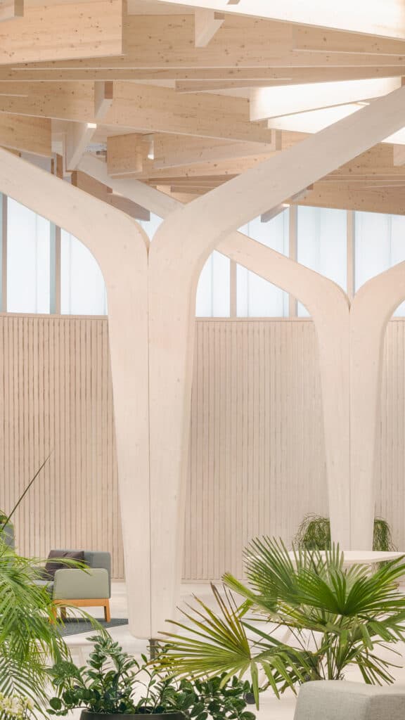 Moderne, helle, organisch geformte Holzkonstruktion im Raum, erinnert an Bäume, die die Decke tragen.