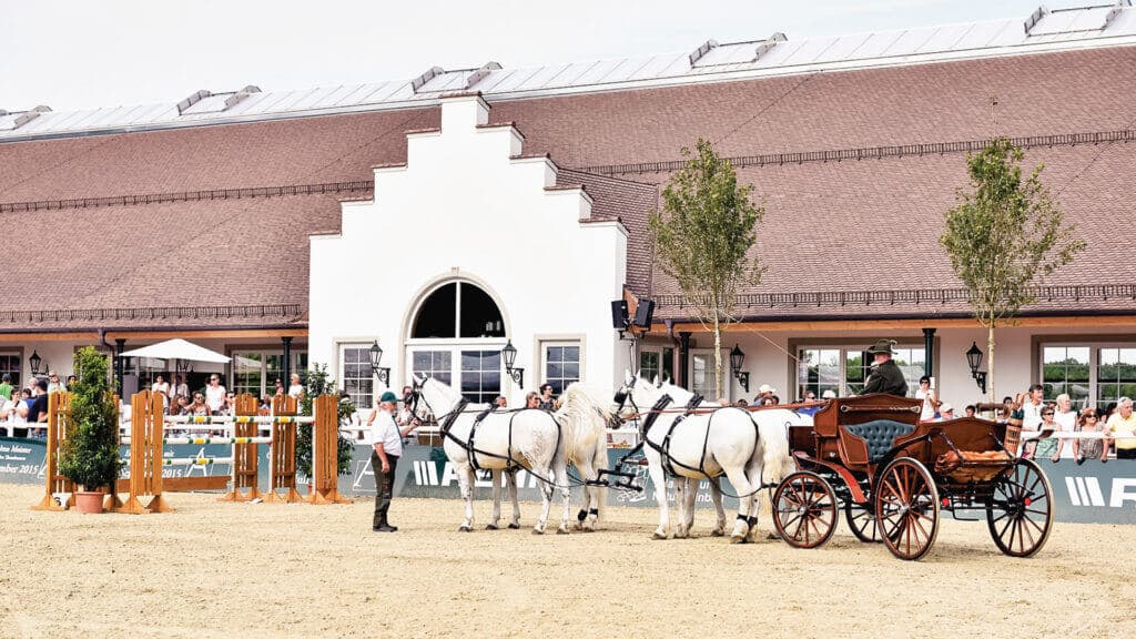 Pferdekutsche auf dem Reitplatz