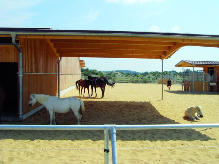 Pferdestall mit angeschlossener Weide