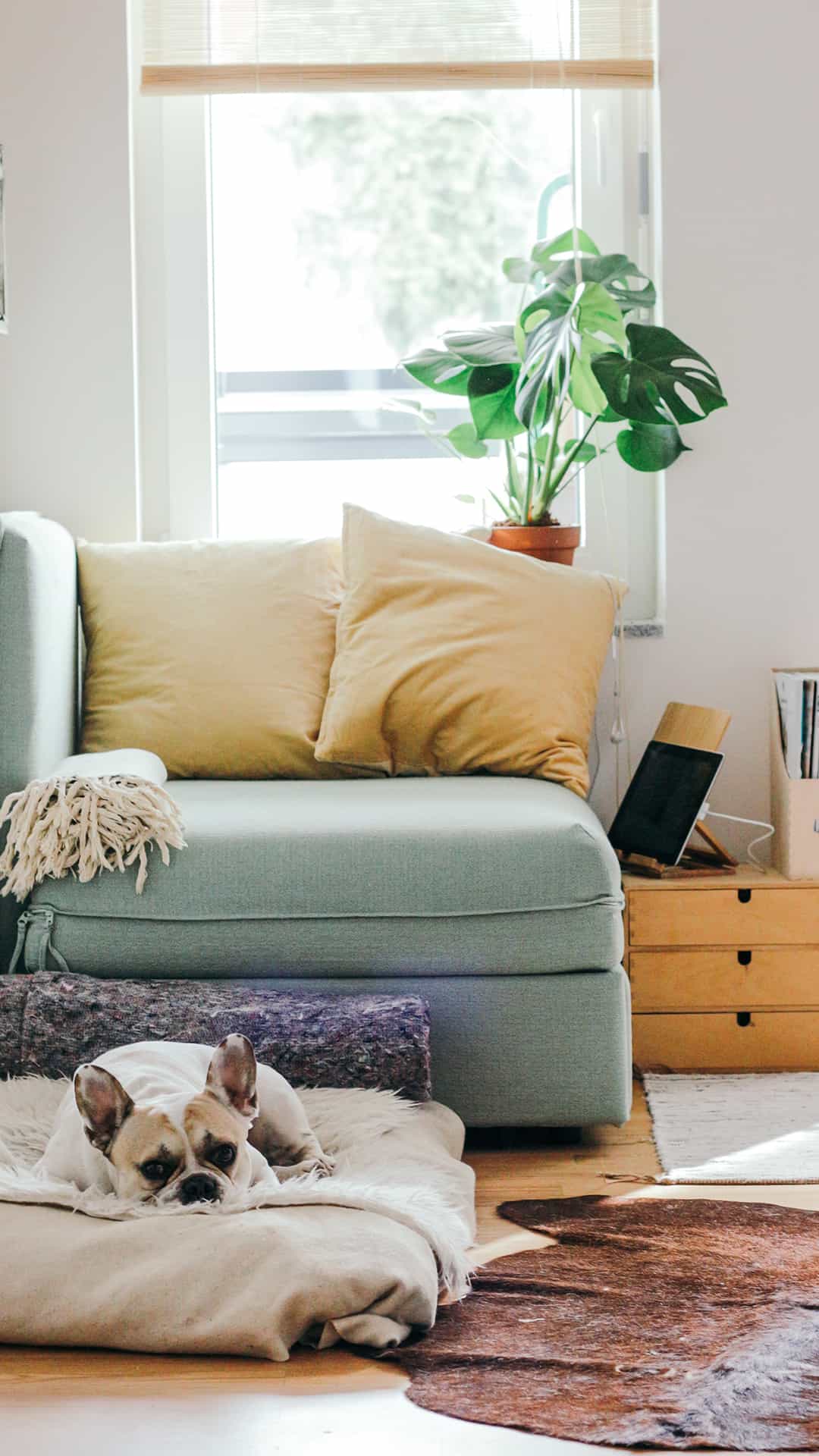 So lebt es sich LAGOM: minimalistische Einrichtung mit gemütlichem Flair