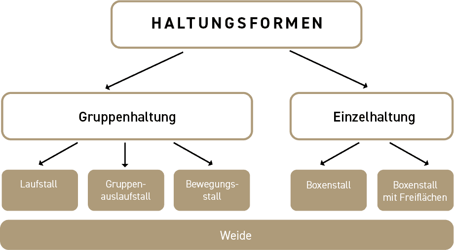 Grafik zu Haltungsformen von Pferden