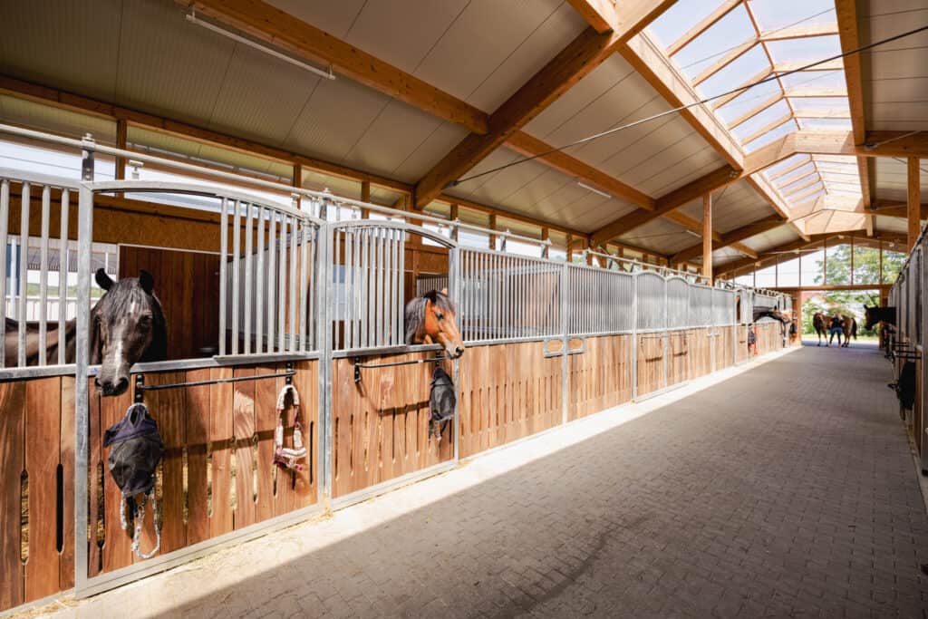 Stallgasse mit Pferdeboxen innen mit Pferden