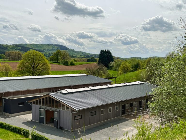 Pferdestall mit Paddockboxen