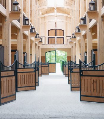 wanninger-feldkirchen-reitanlage-2014 Reitstall, Pferdestall von Schlosser. Holzbau für Pferde